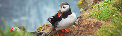 Viaje en Grupo a Islandia _ Fiordos